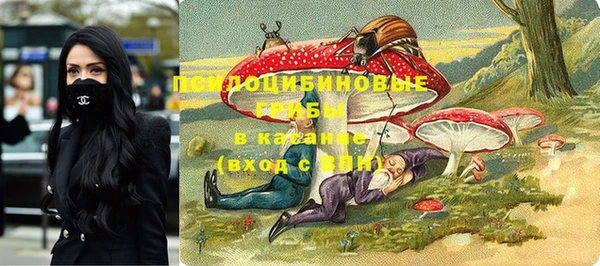 трава Новодвинск