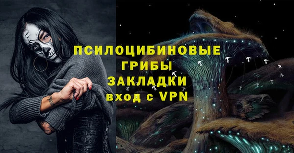 эйфоретик Новокубанск