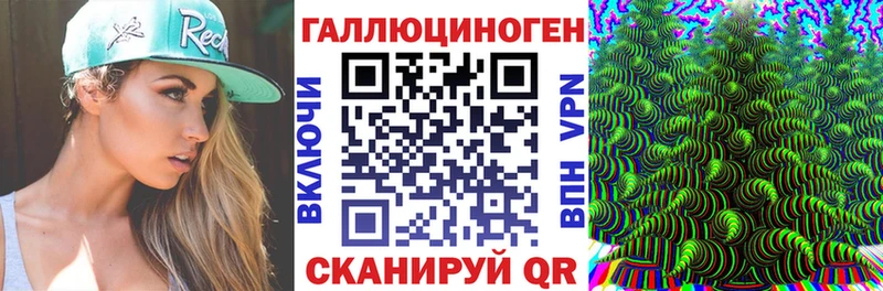 Псилоцибиновые грибы GOLDEN TEACHER  Купить закладки  Чебаркуль 